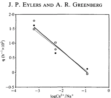 Fig. 5. Swelling rate constant (q) vs logCa2+/Na+ ratio. (•) Thyonella gemmataisotonic; (O) Pentacta pygmaea isotonic; (•) Thyonella gemmata isoionic