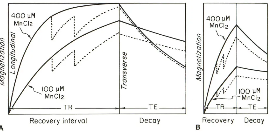 Fig. 5.-Signal show slice spacing. A, B, intensity plotted for five sample vials as a function of Data points are experimental measurements; Solid lines theoretical calculations