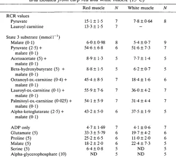 Table 2. Respiratory control ratios (RCR) and oxygen consumption of mitochon-dria isolated from carp red and white muscle (15°C)