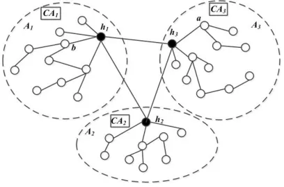 Fig. 1. AS alliance structure