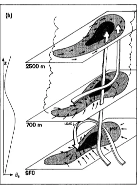 Figure 1.1. Conceptual model of a nighttime mesoscale convective system. Large arrows represent the updraft and downdraft branches of the system