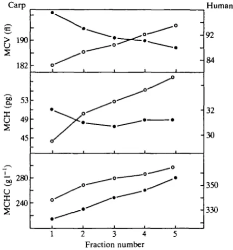 Fig. 2. Comparison of mean corpuscular volume (MCV), mean corpuscular haemo-globin (MCH) and mean corpuscular haemoglobin concentration (MCHC) of fraction-