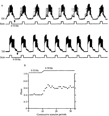 Fig. 9. Entrainment of the respiratory oscillator by injecting current pulses into 720.Duration of the current pulse wasoscillator (arrows)