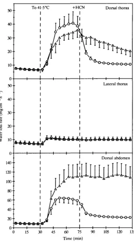 Fig. 3. Time course of water loss from three cuticle regions of D. apache. Airtemperature at t<30min was27-2°C