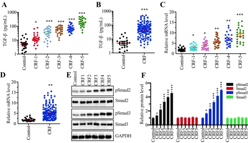 Figure 1. The serum concentration of TGF-β was elevated and TGF-β signaling was activated in CRF patients (A) Serum concentrations of TGF-βwere associated with the CRF stage