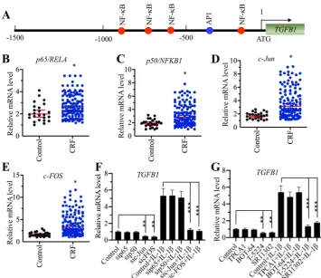 Figure 2. Knockdown of AP-1 subunits caused the downregulation of TGFB1. (A) The promoter of TGFB1 contained one AP-1 and four NF-κB binding sites