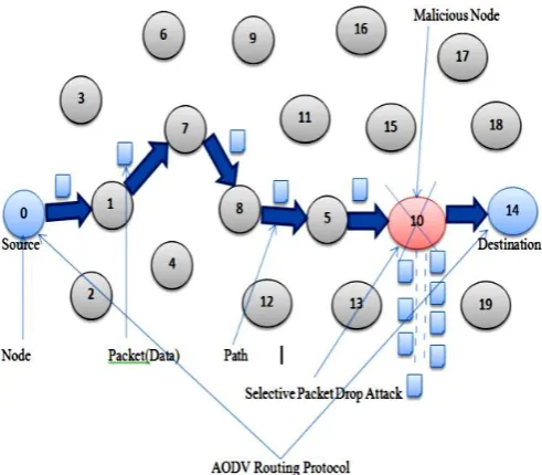 Figure 2.  (a) RREQ Broadcast (b) RREP Forward path (Route Determination from Source to Destination) 