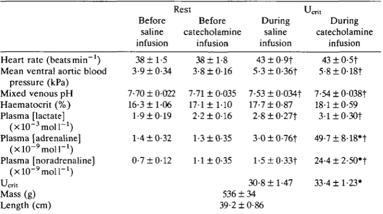 Table 2. The effects of infusing either saline or a mixture of the catecholaminesadrenaline and noradrenaline (for details see text) on a number of physiologicalmorhua,variables and critical swimming velocity (Ucrit) in eight Atlantic cod, Gadus in which the first four pairs of spinal nerves were sectioned to denervate thehead kidney