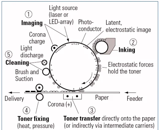 Figure 4. Example of the electrophotgraphic process (Kipphan, 2001).  