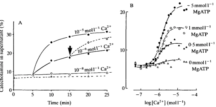 Fig. 2. Ca - and MgATP-dependence of secretion from electropermeabilizedchromaffin cells