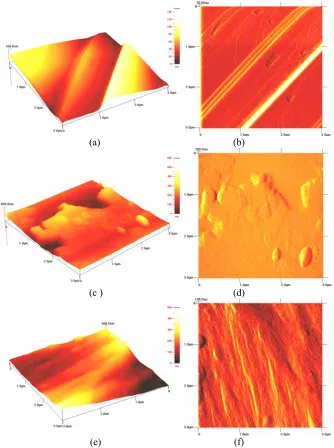 Fig 4.  AFM images (contact mode) of the gypsum crystal faces and their correspondent error images (a) and (b) face (010),  (c) and (d) face (120) ,  (e) and (f) face (111)