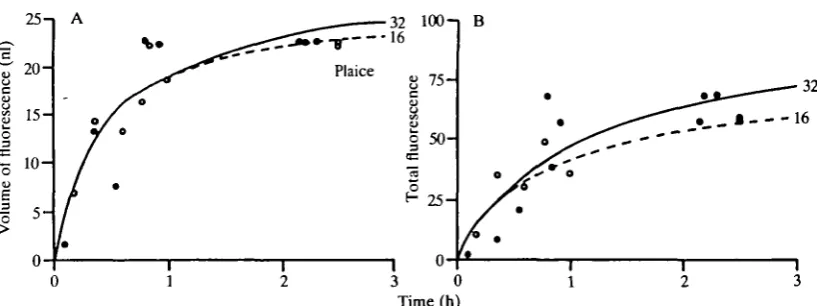 Fig. 7. (A) The change in volume of fluorescence in the gut of 4-day-old plaice in 32%c(O) and 16%c sea water (•)