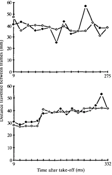 Fig. 9. Distances travelled by head (^) and body (O) in inter-frame intervals(1 interval = 19 ms) as a function of time during near vertical take-off flight for bird A3(above) and bird Br (below).