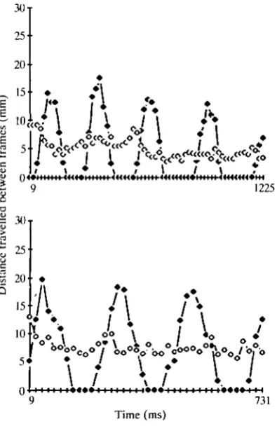 Fig. 1. Distances travelled by head (•) and body (O) in inter-frame intervals(1 interval = 19 ms) as a function of time during cursorial locomotion for bird B2(above) and bird C3 (below)