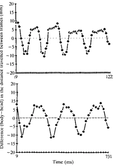 Fig. 2. Differences in the distances travelled by head and body in inter-frame intervals(1 interval = 19 ms) as a function of time during cursorial locomotion for bird B2(above) and bird C3 (below)