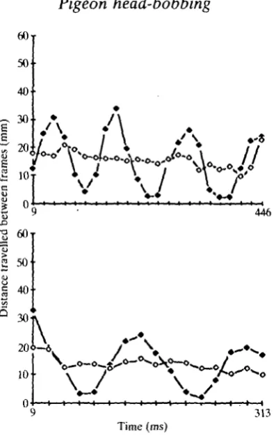 Fig. 3. Distances travelled by head (•) and body « » in inter-frame intervals(1 interval = 19 ms) as a function of time during fast cursorial locomotion for bird B6(above) and bird C3 (below)