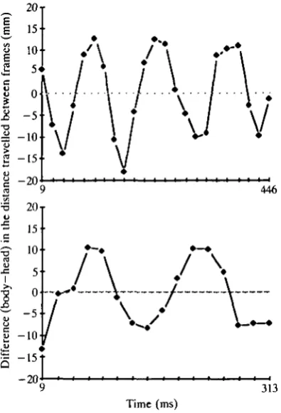 Fig. 4. Differences in the distances travelled by head and body in inter-frame intervals(1 interval =(above) and bird C3 (below)