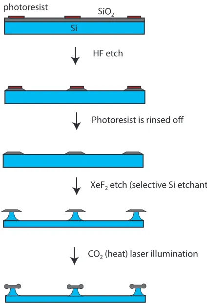 Figure 2.1: Microtoroid fabrication ﬂow stream. Toroids are fabricated through a combination oflithography and etching