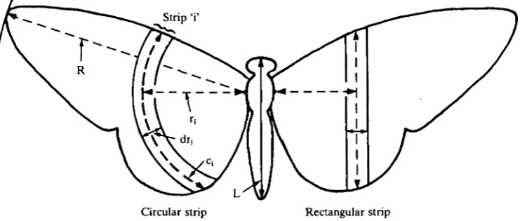 Fig. 2. Dimensions measured for the current study (see text for abbreviations).