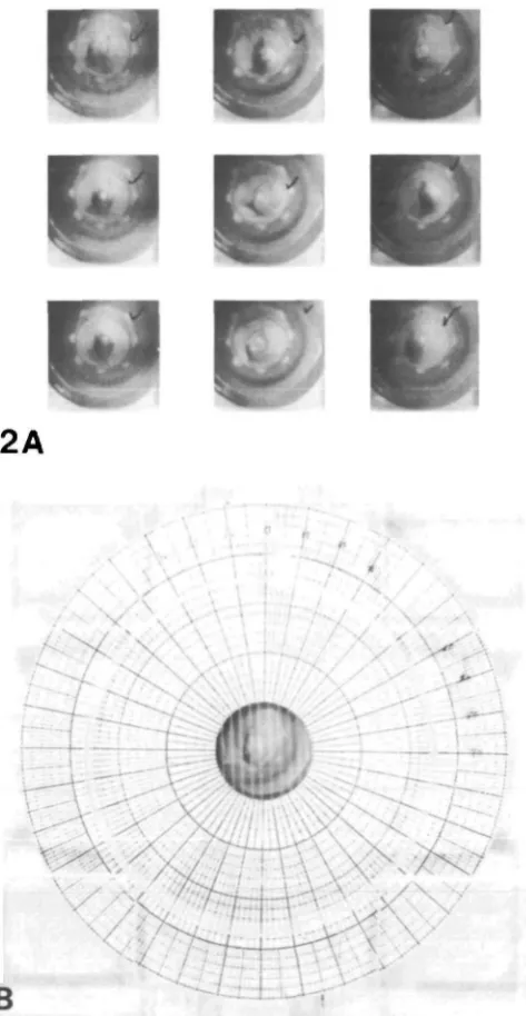 Fig. 2. Data analysis. (A) Paper negatives developed as raw data show the fish in thechamber, and check marks indicate that these frames were used for data.
