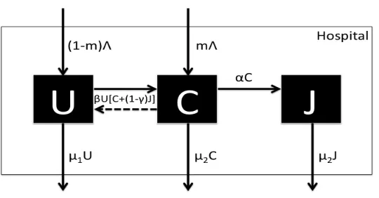 Figure 1: Compartmental VRE Model.