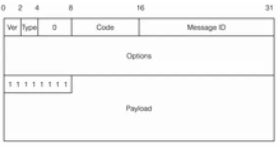Figure 3.3 CoSIP Message Format