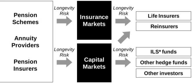 Figure 5: The longevity risk transfer market. 