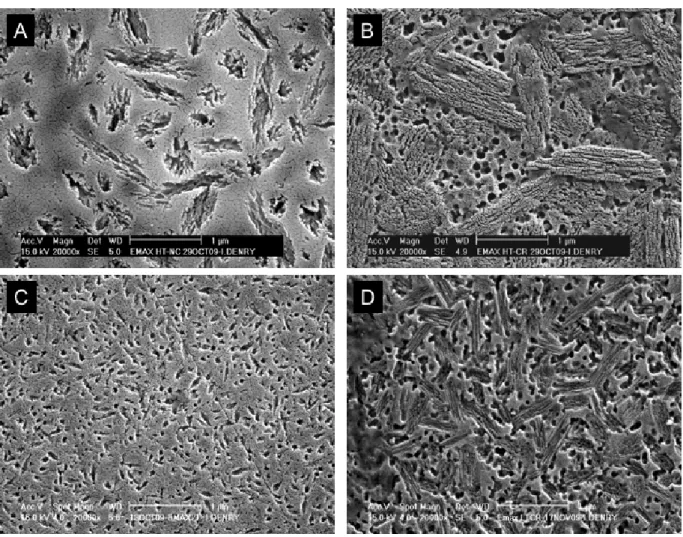 Figure 9.  (a) Partially crystallized High Translucency (HT) lithium silicate machinable  ceramic