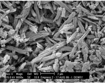 Figure 4. Microstructure heat-pressed lithium disilicate glass-ceramic. 