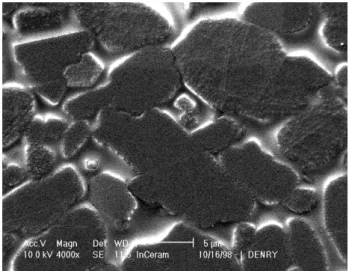 Figure 6. Microstructure of alumina slip-cast ceramic. 