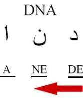 Gambar 3.4 DNA daripada perkataan al-Quran   