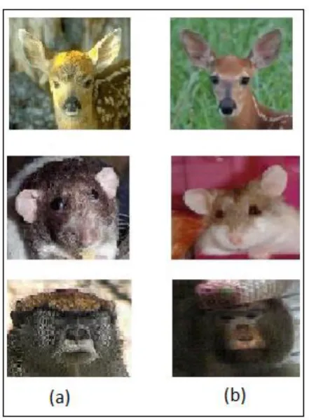 Figure 2. (a) Query image. (b) Resultant relevant image.  