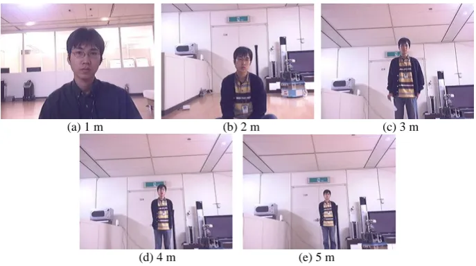Fig. 5. Examples of extracted face image at increasing distances 