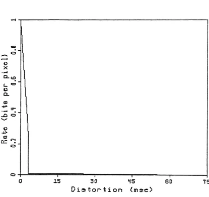 Figure 4.3: Mask rate distortion function.