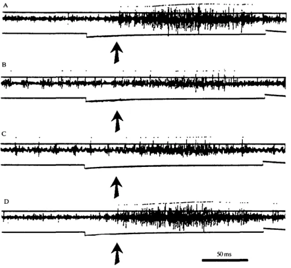 Fig. 2. Sensory responses to controlled wind puffs under different experimental conditions