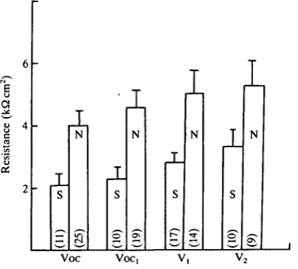 Fig. 3. Average values for the initial total epithelial resistance in NaCl-Ringer underdifferent experimental conditions