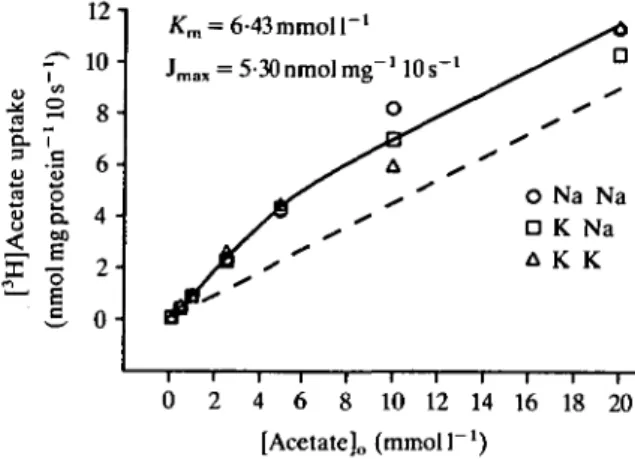 Fig. 7. Kinetic analysis of [ 3 H]acetate uptake in BBMV of tilapia upper intestine. Uptake was measured in the presence of bilateral Na +  (Na/Na), in the presence of an inwardly directed Na +  gradient (K/Na) and in the absence of Na +   ( K / K ) 