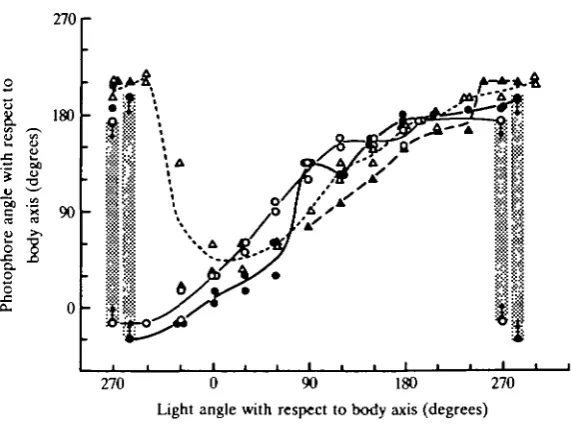 Table 1. Amount of additional posterior rotation ofshift in photophores in response to a 60° light position (from 210° to 270° absolute animal angle), ivith the animal heldhorizontal, facing up or facing down