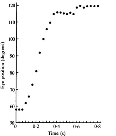 Fig. 6. Eye position measured from successive single frames of a video tape as the eyeresponded to an abrupt change in light angle from 60° to 120°.