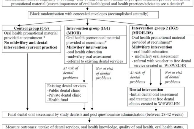 Figure 2: Detailed design of MIOH-DS trial 