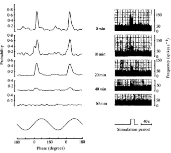 Fig. 3. The inhibiting effect of 1 mmol 1switching from normal fresh water to the test solution
