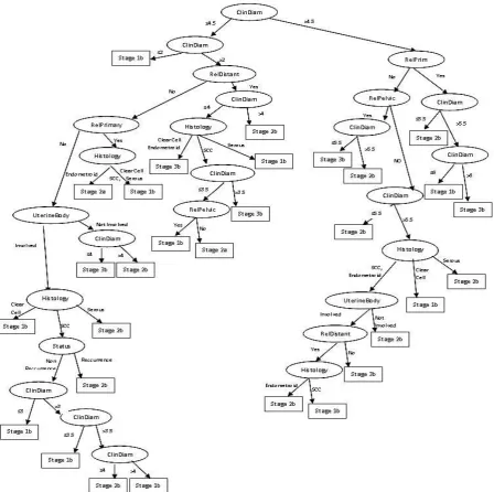 Figure 9:  Decision Tree obtained from See5 
