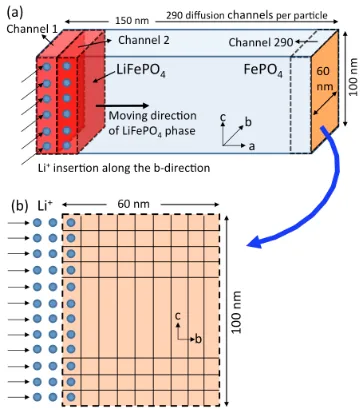Figure 4. (a) Schematic view of a Li+ diffusion model. During discharging, LiFePO4 phase moves along the a-direction