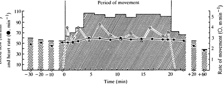 Fig. 5. A summary of flow changes over a 20-min exercise period, X47, 1016g. Flowincreased over the first 4 min, reached a steady value at almost double the resting rate and