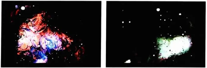 Figure 6. Still images from the film Stellar, Stan Brakhage, 1993.