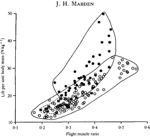 Table 3. Partial correlation coefficients and coefficients of determination for log-maximum body mass-specific lift force, after effect of flight muscle ratio has beentransformed mass-specific morphological variables (and aspect ratio) versusremoved