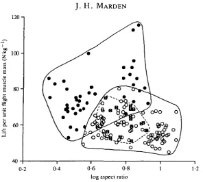 Table 4. Coefficients of determination for the multiple regression of all morphologicalvariables, with and without flight muscle ratio, versus body mass-specific lift