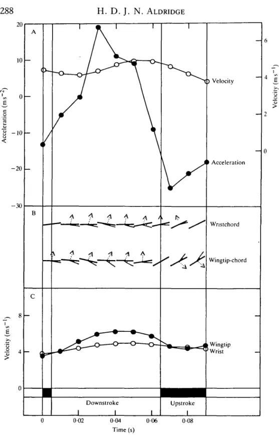 Fig. 8. Kinematics and aerodynamics of Eptesicus serotinus in slow flight at 3-44 m s '