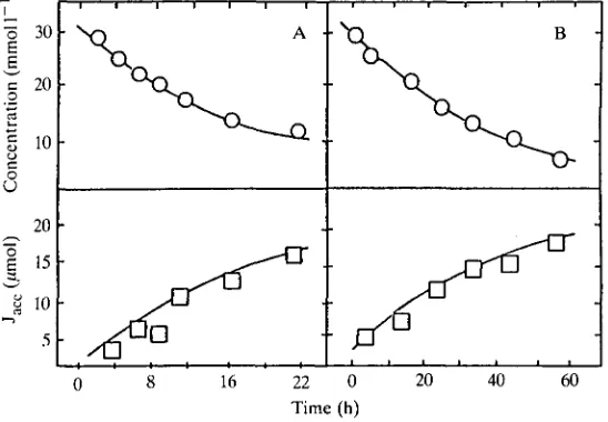 Fig. 2. Anthrough muscle cytosol example of measurements obtained from diffusion experiment of D-lactate in paired chambers at (A) 25°C and (B) S°C.