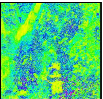 Figure 3: Raw data raster format in GRASS software  